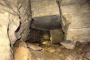 Archivo:Corredor - Cueva de los Tayos