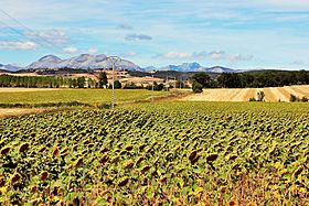 Countryside Landscape Palencia 2.jpg