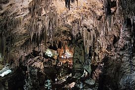 Cuevas de Nerja.JPG