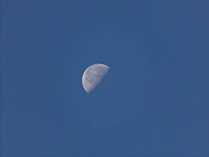 Archivo:Daytime moon december 2017