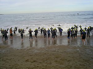 Archivo:Entrada al agua en Triatlon Internacional de Viña del Mar 2006