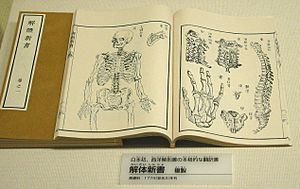 Archivo:First Japanese treatise on Western anatomy