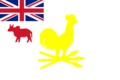 Flag of the Tamatave Kingdom (1826-1828)