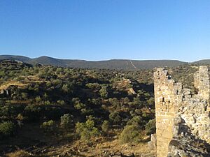 Archivo:From the alcazaba