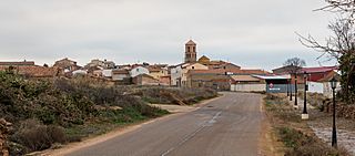 Gallocanta, Zaragoza, España, 2017-01-04, DD 10.jpg