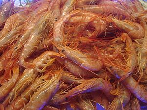 Archivo:Gambas