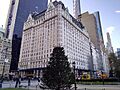 Grand Army Plaza Dec 2020 13