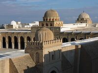 Archivo:Great Mosque of Kairouan, flat roof and domes