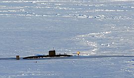HMS Tireless (S88) in ice.jpg