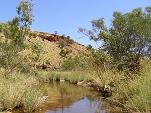 Archivo:Hamersley Range, Pilbara Region, Western Australia