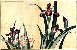 Archivo:Hokusai Irises