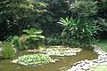 JardinBotanicoFJC