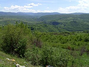Archivo:Krajina podél kaňonu řeky Janj, Šipovo