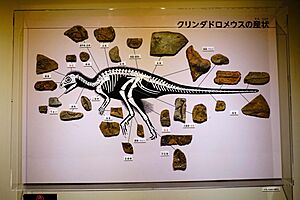 Archivo:Kulindadromeus elements