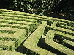Archivo:Labirinto villa Pisani 2