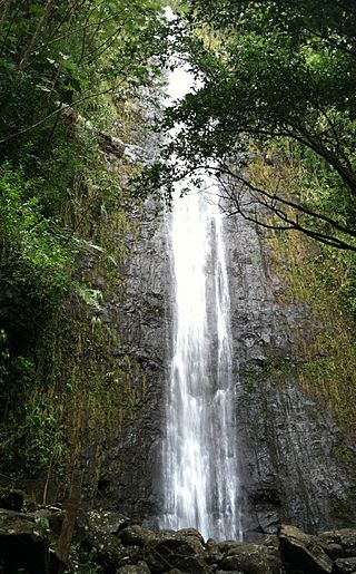 Manoa Falls, Hawaii, March 2012.jpg
