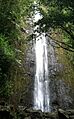 Manoa Falls, Hawaii, March 2012