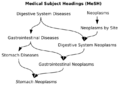 MeSH-example
