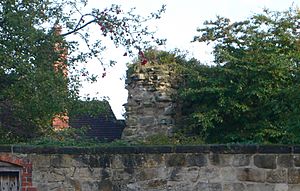 Archivo:Melbourne castle wall