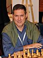Miguel Illescas Córdoba 2013