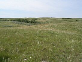 Missouri Coteau (656541298).jpg