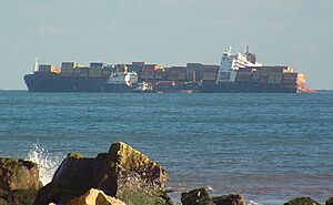 Archivo:Napolibeached