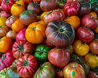 Archivo:Organic heirloom tomato at the Jack London Square Farmers' Market 20150809-OC-LSC-0001 (21661742600)