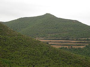 Archivo:Paratge natural de Rubió