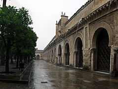 Patio de los naranjos - Mezquita-catedral de Córdoba
