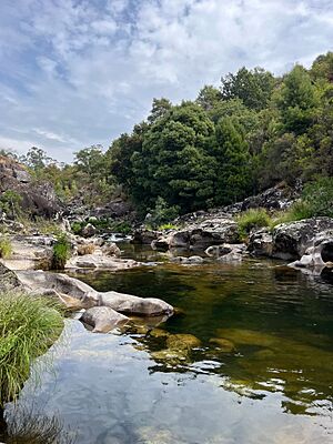 Archivo:Pozas no río Oitavén