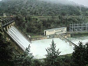 Archivo:Presa de Cijara