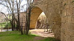 Archivo:Puente de Capurnos