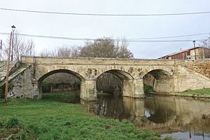 Archivo:Puente sobre el río Turienzo, Santa Colomba de Somoza