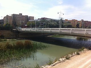PuentedelaFicaMurcia.jpg