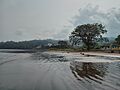 Riaba 20131226 151212
