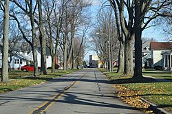 Ridgeville Corners tree-lined street.jpg
