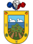 San Vicente de Tagua Tagua.png
