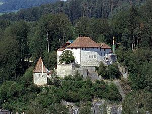Archivo:Schloss Laupen Südansicht