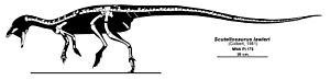 Archivo:Scutellosaurus lawleri