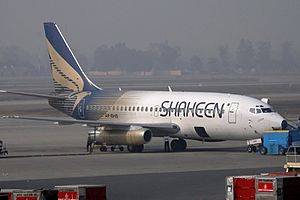 Archivo:Shaheen Air International Boeing 737-200