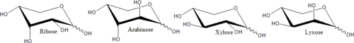 Archivo:Structure of D-pentoses