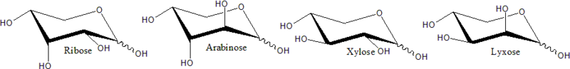 Structure of D-pentoses