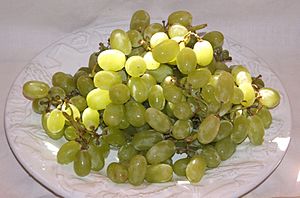 Archivo:Thompson seedless grapes