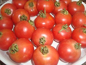 Archivo:Tomates de colgar