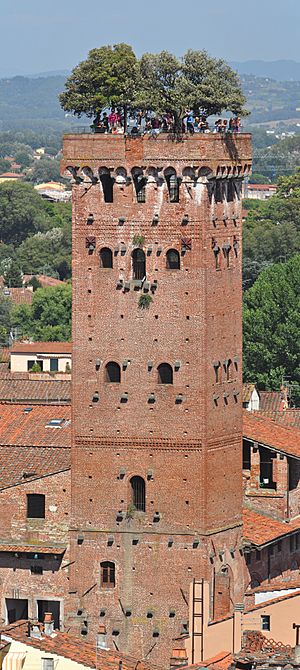 Archivo:Torre Guinigi from Torre Torre dell'Orologio