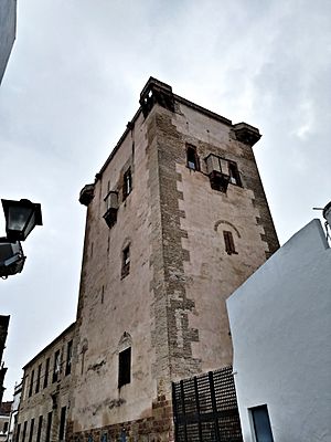 Archivo:Torre de Garciméndez - El Carpio