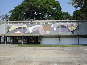 Archivo:UCV 2015-001 Mural de Armando Barrios, 1953