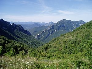 Archivo:Vall d'Hortmoier(2004)