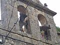 Volteo de campanas