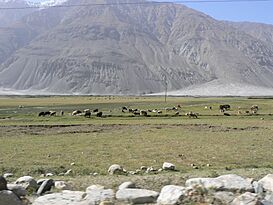 Wakhan Corridor.jpg